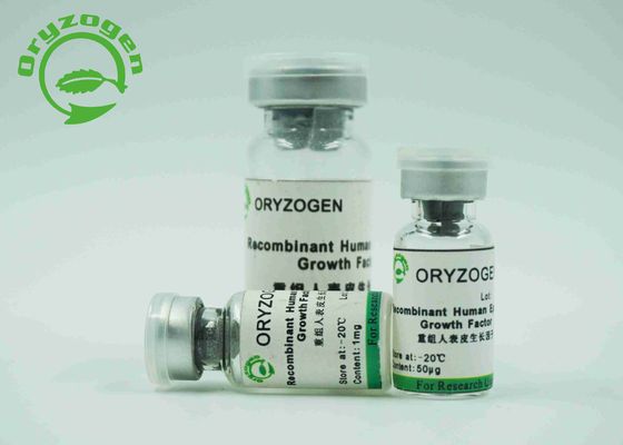 Άσπρη λυοφιλοποιημένη σκόνη παράγοντα αύξησης EGF επιδερμική με την ενδοτοξίνη λιγότερο από 1,0 ΕΕ/mg