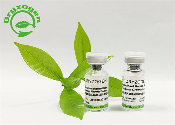 Βασικό FGF Oryza Sativa καλλυντικό πάγωμα συστατικών - ξηρά σκόνη