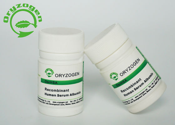 Sativa ανασυνδυαζόμενος M/P 65℃ Oryza ΈΧΕΙ το μοριακό βάρος αγνότητας 66.5kD σκονών 99%
