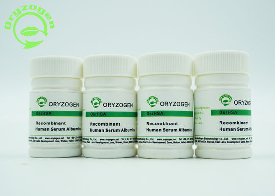 Sativa ανασυνδυαζόμενος Oryza ΕΧΕΙ το πάγωμα - ξηρά πρωτεΐνη μαζικής ανθρώπινη λευκωματίνης σκονών 66.554KD μοριακή
