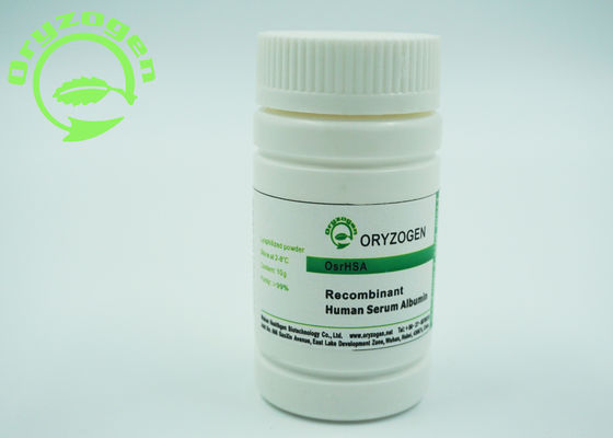 Sativa ανασυνδυαζόμενος Oryza ΕΧΕΙ το πάγωμα - ξηρά πρωτεΐνη μαζικής ανθρώπινη λευκωματίνης σκονών 66.554KD μοριακή