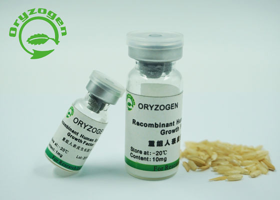 επιδερμική προέλευση ζύμης παράγοντα αύξησης 6.3kD Recombiannt για την κυτταροκαλλιέργεια
