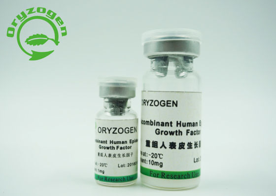 Ζύμης παράγοντας pH 6.5-7.5 αύξησης προέλευσης rhEGF επιδερμικός μη - ζωικό συστατικό