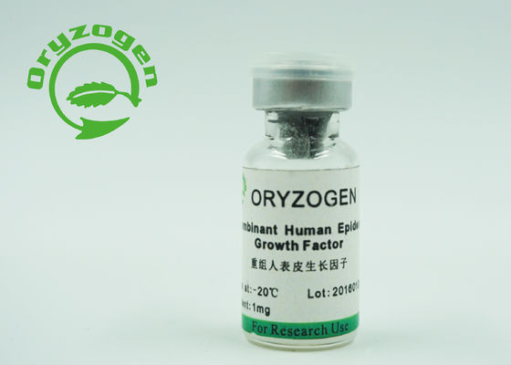 Ζύμη παράγοντα EGF αύξησης CAS 62253-63-8 η ανθρώπινη επιδερμική παρήγαγε μη - ζωικό συστατικό