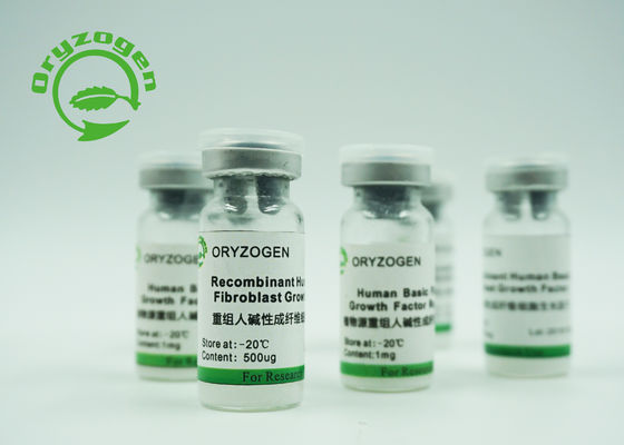 Υψηλός παράγοντας BFGF αύξησης ινοβλάστεων βιοδραστικότητας ανασυνδυαζόμενος βασικός για τα καλλυντικά