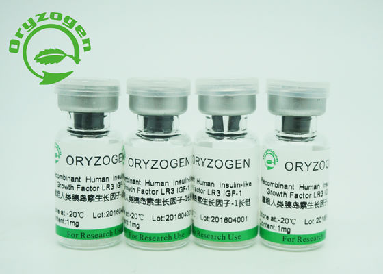 Μεγαλύτερος από την αγνότητα ανασυνδυαζόμενο IGF 1 90% μακροχρόνιος παράγοντας αύξησης R3 που προωθεί την αύξηση κυττάρων