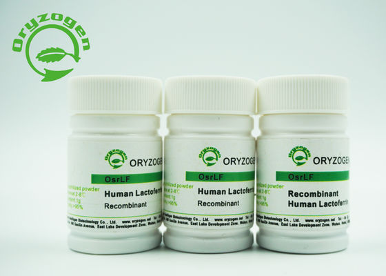 80KD ανασυνδυαζόμενο ανθρώπινο πρωτεϊνικό Lactoferrin κανένα ζωικό συστατικό για τα καλλυντικά