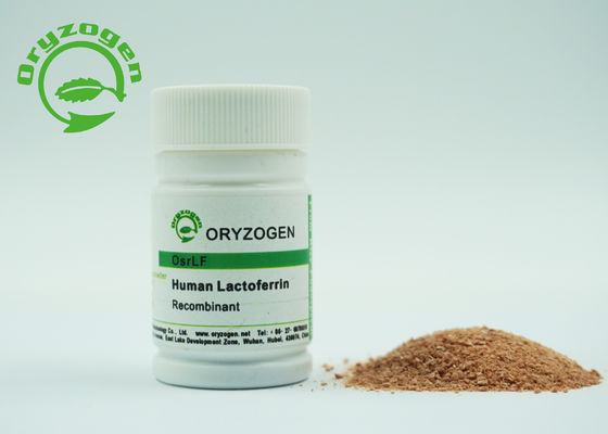 80KD ανασυνδυαζόμενο ανθρώπινο πρωτεϊνικό Lactoferrin κανένα ζωικό συστατικό για τα καλλυντικά