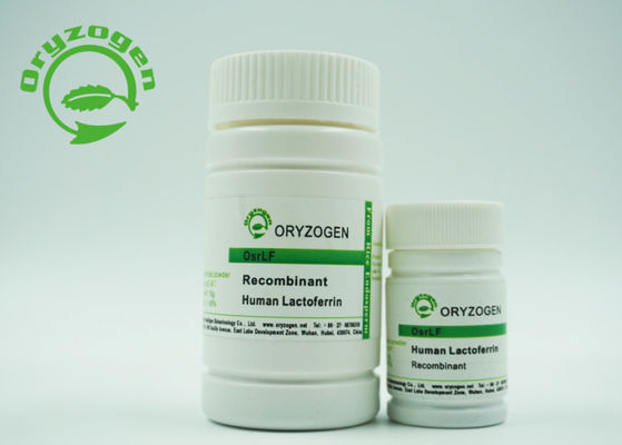 Lactoferrin κυτταροκαλλιέργειας ανασυνδυαζόμενος ανθρώπινος σίδηρος μεταφορών που προωθεί την αύξηση κυττάρων