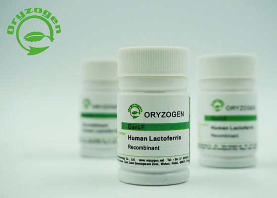Lactoferrin προέλευσης σιταριού ρυζιού ανασυνδυαζόμενα ανθρώπινα βιολογικά ερευνητικά αντιδραστήρια 146897-68-9