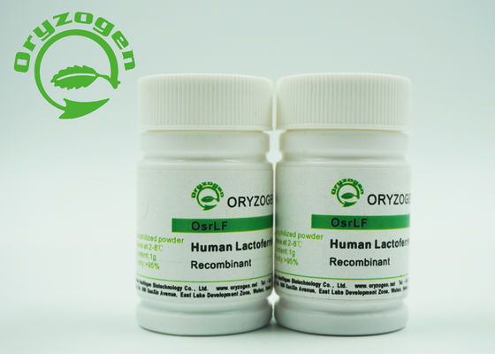 Lactoferrin πάγωμα - ξηρές εγκαταστάσεις σκονών που προέρχονται με την αντιβακτηριακή δραστηριότητα που ενισχύει την ασυλία