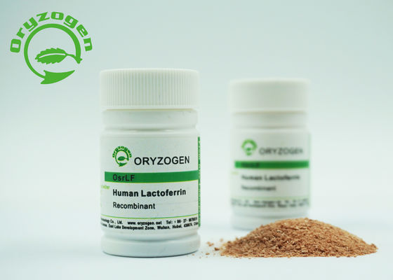 Λυοφιλοποιημένο Lactoferrin σκονών ανασυνδυαζόμενο ανθρώπινο χαμηλό μοριακό βάρος ενδοτοξινών 80Kd