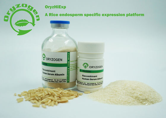 Το CAS 70024-90-7 ανασυνδυαζόμενο λυοφιλοποιεί 66.550KD χωρίς το σταθεροποιητή ή ενεργό στην επιφάνεια πράκτορα