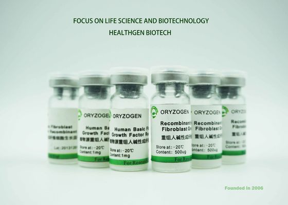 Sativa προέλευση Oryza παράγοντα αύξησης rbFGF του ISO πιστοποιημένη