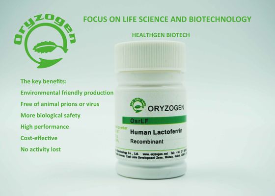 Lactoferrin OsrhLF ανθρώπινα ανασυνδυαζόμενα πρωτεϊνικά βιολογικά αντιδραστήρια για Biopharmaceuticals