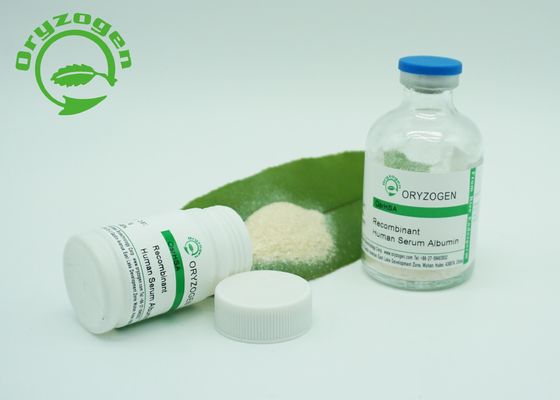 Το Oryzogen 65 KD ανασυνδυαζόμενο ΈΧΕΙ τη σκόνη για το εμβόλιο CAS 70024 90 7