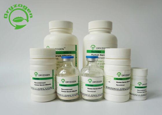 Μεγαλύτερη από την αγνότητα 99% η ανασυνδυαζόμενη ανθρώπινη λευκωματίνη ορών ΈΧΕΙ M/P 65℃ για την αρχική κυτταροκαλλιέργεια