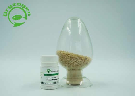 Sativa ανασυνδυαζόμενος Oryza ΕΧΕΙ το πάγωμα - ξηρά πρωτεΐνη μαζικής ανθρώπινη λευκωματίνης σκονών 66.554KD μοριακή