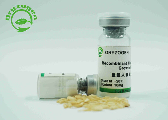 Ανασυνδυαζόμενο EGF ελεύθερο μέσο παράγοντα υψηλής αγνότητας μη - ζωικό συστατικό για Xeno -