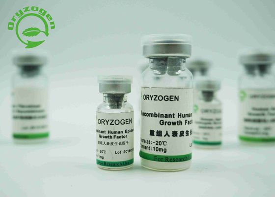 Η ζύμη παρήγαγε τον ανασυνδυαζόμενο επιδερμικό παράγοντα 6.3KD ανθρώπινο EGF αύξησης για τον ορό - ελεύθερο μέσο