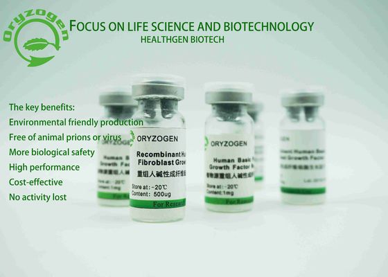 Sativa προέλευση Oryza παράγοντα αύξησης rbFGF του ISO πιστοποιημένη