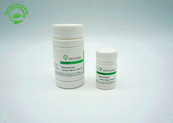 Sativa ανασυνδυαζόμενος Oryza έχει προέλθει από το ζωικό τμήμα RecHSA εγκαταστάσεων μη