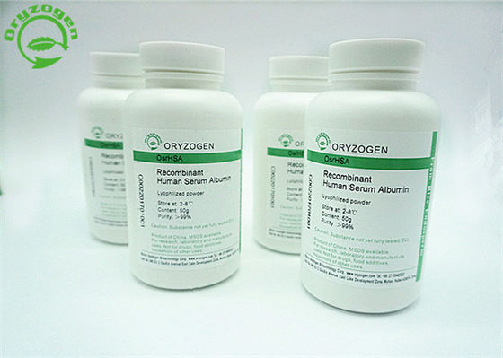 Sativa ανασυνδυαζόμενη ανθρώπινη λευκωματίνη Oryza για τα διαγνωστικά CAS No.70024 90 7