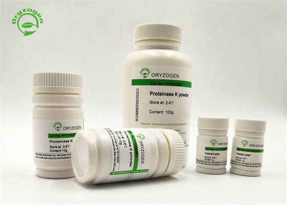 PCR πρωτεϊνάσης Κ Oryzogen 29kDa ανασυνδυαζόμενη λυοφιλοποιημένη βαθμός σκόνη από Pichia Pastoris