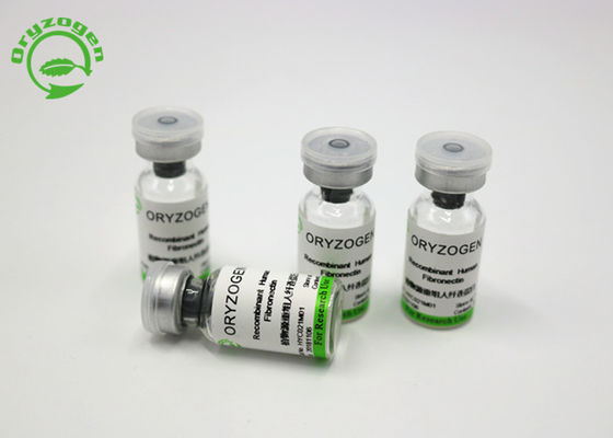 Σιτάρι ανασυνδυαζόμενο Fibronectin ρυζιού για τον πολιτισμό CAS 86088-83-7 βλαστικών κυττάρων
