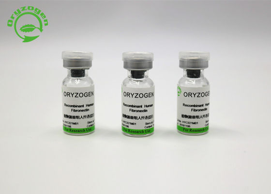 Ζωική συστατική ελεύθερη υψηλή αγνότητα ανασυνδυαζόμενο Fibronectin FN από Oryza Sativa