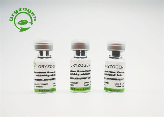 Χαμηλή ενδοτοξίνη ανασυνδυαζόμενο VEGF CAS υψηλής αγνότητας Νο 127464-60-2