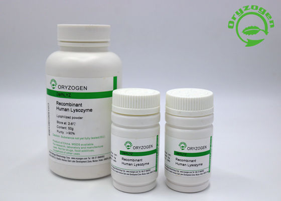 Lysozyme επεξεργασίας διάρροιας ανασυνδυαζόμενη λυοφιλοποιημένη Lyz σκόνη 50g