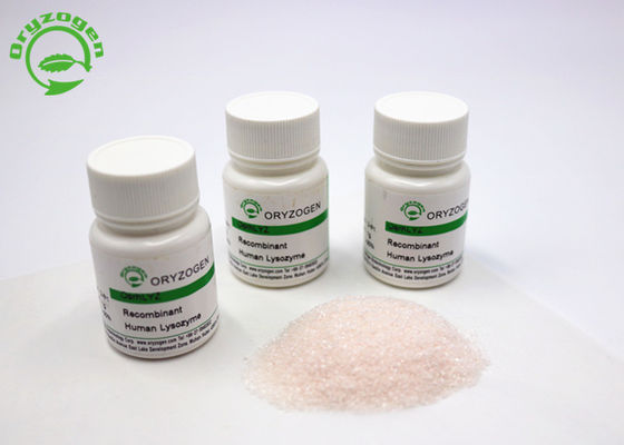 Ανασυνδυαζόμενη Lysozyme Oryzogen σκόνη από το μαζικό ανεφοδιασμό CAS πλατφορμών ρυζιού Νο 9001-63-2