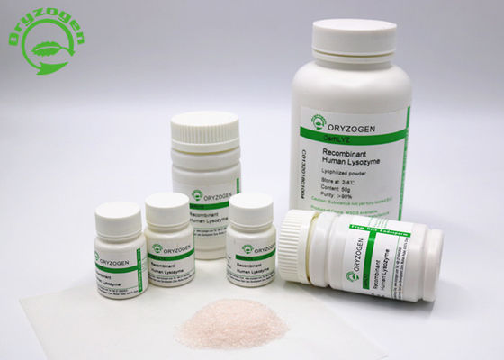 Ανασυνδυαζόμενη Lysozyme Oryzogen σκόνη από το μαζικό ανεφοδιασμό CAS πλατφορμών ρυζιού Νο 9001-63-2