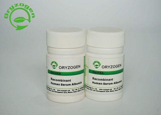 Το ρύζι Oryzogen παρήγαγε την ανασυνδυαζόμενη ανθρώπινη λευκωματίνη CAS 70024-90-7 ορών
