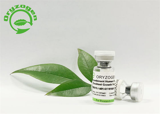 Evironmental φιλικές bFGF εγκαταστάσεις σκονών αύξησης λυοφιλοποιημένες παράγοντας που προέρχονται