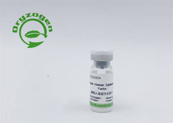 Διπλή αποτελεσματικότητα EGF και bFGF τμήμα αγνότητας 95% ζωικό μη