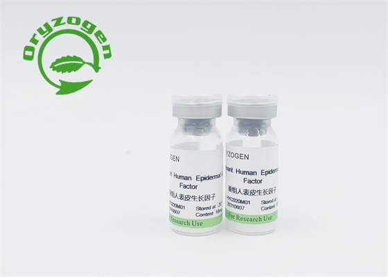 Ανασυνδυαζόμενο πάγωμα bFGF EGF πρωτεϊνικό - ξηρά σκόνη