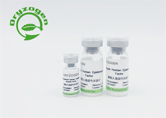 Ανθρώπινος παράγοντας αύξησης EGF επιδερμικός και ανθρώπινο ζώο bFGF ελεύθεροι καμία υποκίνηση