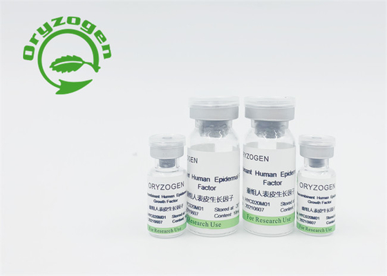 Ζωικός παράγοντας EGF συστατικής ελεύθερος ανασυνδυαζόμενος αύξησης