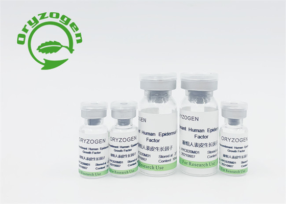 Λυοφιλοποιημένη EGF σκόνη ISO 9001 υψηλής αγνότητας πιστοποιημένη για την προσοχή ομορφιάς