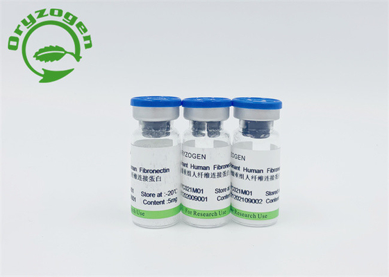 Σιτάρι ανασυνδυαζόμενο ανθρώπινο Fibronectin ρυζιού για FN την ανίχνευση
