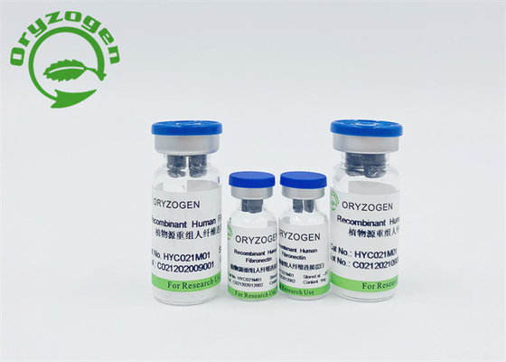 Ορός ελεύθερο ανασυνδυαζόμενο ανθρώπινο Fibronectin 86088-83-7 σιταριού ρυζιού