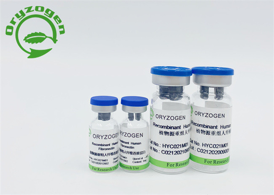 Sativa ανασυνδυαζόμενη ανθρώπινη λυοφιλοποιημένη Fibronectin σκόνη Oryza